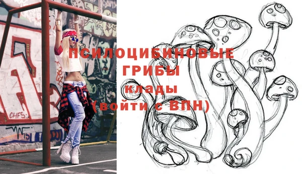 мдпв Бронницы